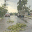 Опубликованы фото последствий урагана в Нижнем Новгороде - фото 2 - vGorodeN.Ru