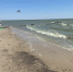 Глава Таганрога рассказала о результатах проверки воды в Таганрогском заливе после атак ВСУ - Bloknot-Rostov.Ru