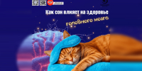 Как сон влияет на здоровье головного мозга 1 - Медицинский колледж