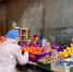 В России создадут единую систему контроля цен на продукты - RuInformer.Com