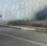 В Ростове в Суворовском горит лесопосадка - DonDay.Ru
