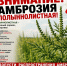 Россельхознадзор предупреждает: чем опасна амброзия и как защитить свой участок - Город Первомайск