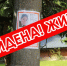 Пропавшая в Пущино 13-летняя Василиса нашлась живой в Старой Купавне - Smitanka.Ru