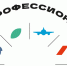 Объявлен набор волонтёров для участия в Чемпионате «Профессионалы» - Администрация города