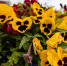 Фото: Сергей Зубков/«Ямал-Медиа» - Ямал-Медиа