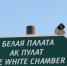 Жителей Татарстана приглашают присоединиться к учету воробьев - ИА Татар-информ