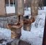 «В - Город Че