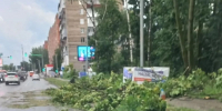 Мэр Нижнего Новгорода проверил ликвидацию последствий шторма с ветром до 17 мс - ProGorodNN.Ru