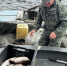 В водоёмах Коми обитает 52 вида рыб - Pg11.Ru