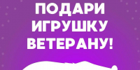 Сотрудники Межрегионального управления Росприроднадзора по Иркутской области и Байкальской природной территории продолжают участвовать в акции «Игрушка ветерану» - Росприроднадзор