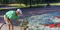 В Курске продолжают полив городских клумб и деревьев - Курская правда