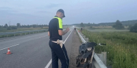 На Урале 15-летний школьник попал в реанимацию после гонок на питбайке - КП Екатеринбург