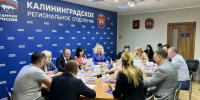 Экологическое благополучие Калининградской области — абсолютный приоритет для «Единой России» - Единая Россия