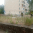 Траву покосили, мусор убрали: коммунальщики привели в порядок территорию за сквером «Казак» - Bloknot-Volgodonsk.Ru