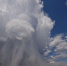 8wxfk8aj310ap52or2p70jxoc365l4va - Novosti-Saratova.Ru