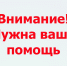 Тверская «Сова» просит о помощи - Газета Вся Тверь