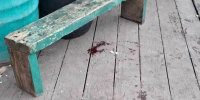 Житель села Нутэпэльмен подозревается в покушении на убийство своего отца - Следственный комитет