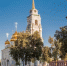 Фото: PhotoJuli86/Shutterstock/Fotodom - Ямал-Медиа