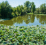 Волгоградская правда - Газета Волгоградская правда