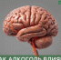 Алкоголь и мозг - Наркологический диспансер
