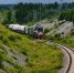 Фото: max.ru/amurobl_official - Амурское областное телевидение