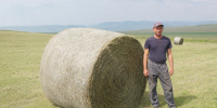 Каждый погожий день на счету - Усть-Абаканский район