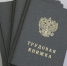 Треть красноярских компаний готовы принять уволенных по статье соискателей - Наш Красноярский край