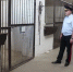 Замминистра МВД заглянул в конюшни в Волгограде - ИА Высота 102.0