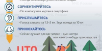 Правила безoпаснoсти        для         грибников - ГУ МЧС Ульяновской области