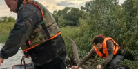 Двоих взрослых и ребенка, терпевших бедствие на лодке, спасли в Татарстане - ИА Татар-информ