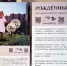 В Новоусманской районной больнице открылась фотовыставка «Рожденные вопреки» - РИА Новости Новой Усмани