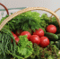 Питание для ума: главный терапевт Пензенской области назвала ТОП-5 продуктов, которые стоит добавить в рацион для улучшения когнитивных функций - Министерство здравоохранения