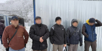 На Ставрополье задержали 10 человек по делу об организации незаконной миграции - Телеканал СвоёТВ
