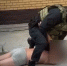 скриншот видео - ИА Тюменская линия