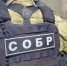 При силовой поддержке спецназа Росгвардии в Карачаево-Черкесии задержан подозреваемый в незаконном обороте оружия - Росгвардия