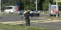 Свыше 11,6 млн квадратных метров травы скосили в Ставрополе с начала сезона. - Администрация Ставрополя