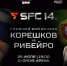 Соперником Андрея Корешкова на SFC 14 в Омске станет португалец Таффарел Рибейро - ИА Омскрегион