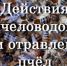 РЕКОМЕНДАЦИИ  ПО ПРОФИЛАКТИКЕ И ПРЕДУПРЕЖДЕНИЮ ОТРАВЛЕНИЙ МЕДОНОСНЫХ ПЧЕЛ В КИРОВСКОЙ ОБЛАСТИ - Омутнинский район