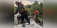 На Каме после крушения лодки спасли двух мужчин и ребёнка - Газета Вести КАМАЗа