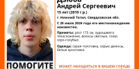 В Нижнем Тагиле пропал 15-летний Андрей Дзюба  - Между Строк