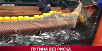 На Сахалине изменили подход к борьбе с браконьерством - News.Astv.Ru
