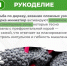 2.jpg - ЮУГМУ