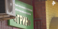 Федеральный телеканал сообщает о работе финансовой пирамиды в Саратовской области - ИА Версия-Саратов