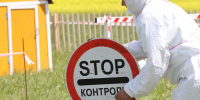 Карантин по бешенству сняли еще в двух нижегородских селах - НИА Нижний Новгород