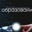 Освойте ИИ в образовании: ННГУ им. Н.И. Лобачевского приглашает преподавателей на бесплатный курс - Вавиловский университет
