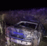 Под Зубцовом водитель на BMW опрокинулся в кювет - Афанасий-биржа