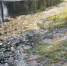 Скриншот из видео жительницы Тюменского округа Эльмиры - Tumentoday.Ru