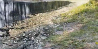 Скриншот из видео жительницы Тюменского округа Эльмиры - Tumentoday.Ru
