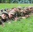 22.07.2026 | В Кимрском муниципальном округе стартовал межрегиональный военно-патриотический слёт «Честь Имею!» - Министерство образования