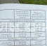 Тульские подростки смогут заработать до 50 тысяч рублей за время летних каникул - ТК Первый Тульский